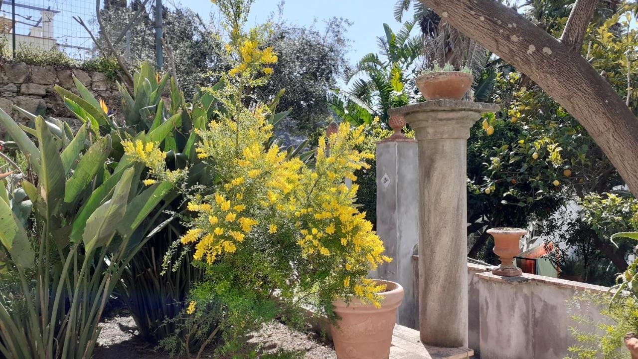 Villa Dorothee Capri Eksteriør bilde