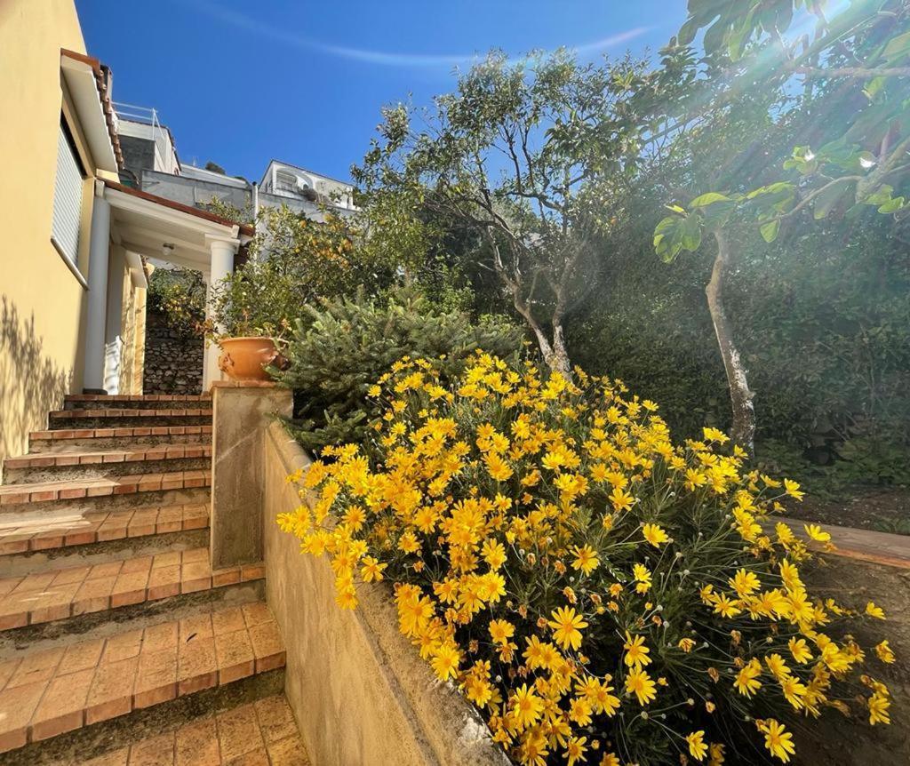 Villa Dorothee Capri Eksteriør bilde