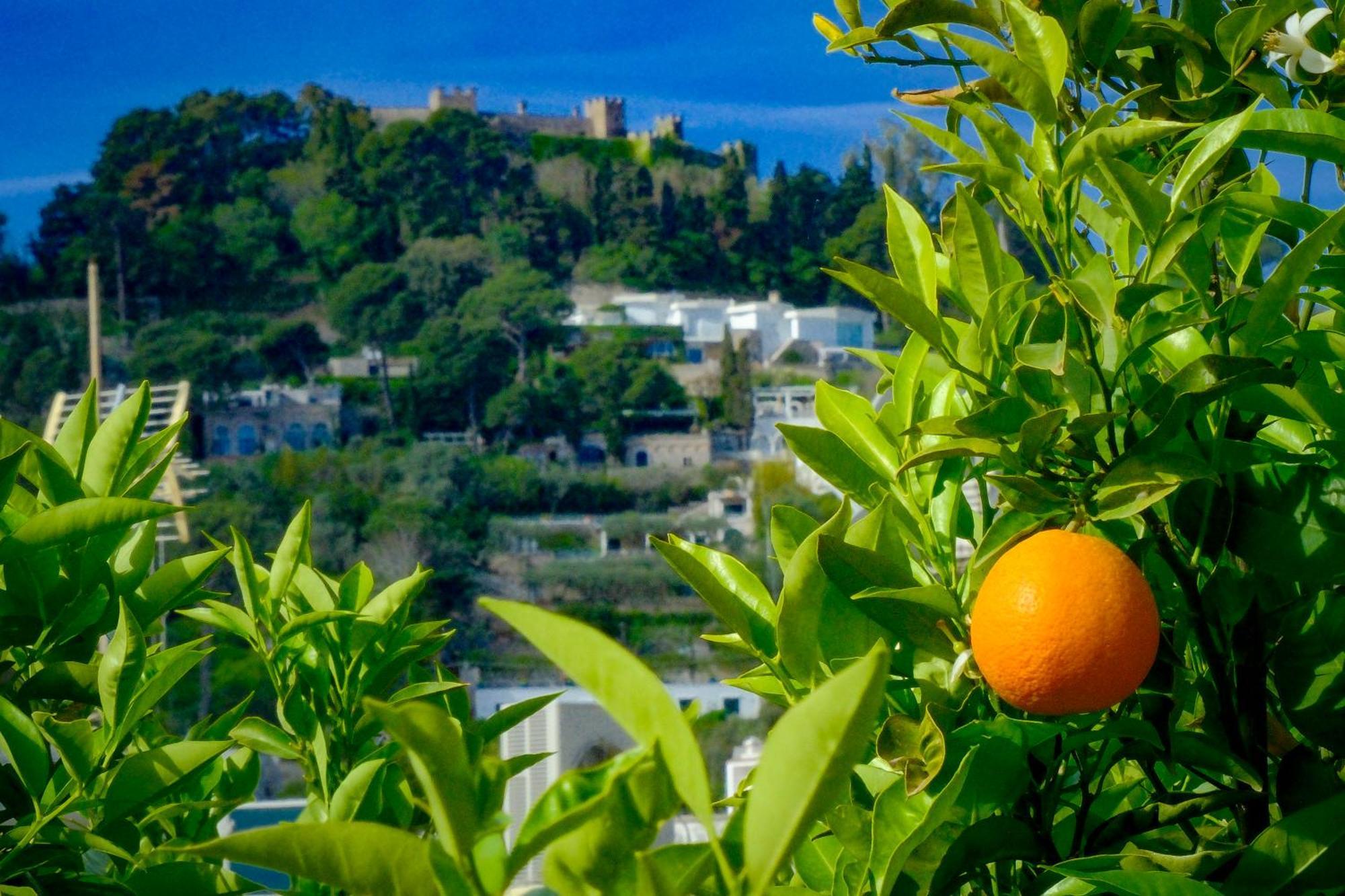 Villa Dorothee Capri Eksteriør bilde