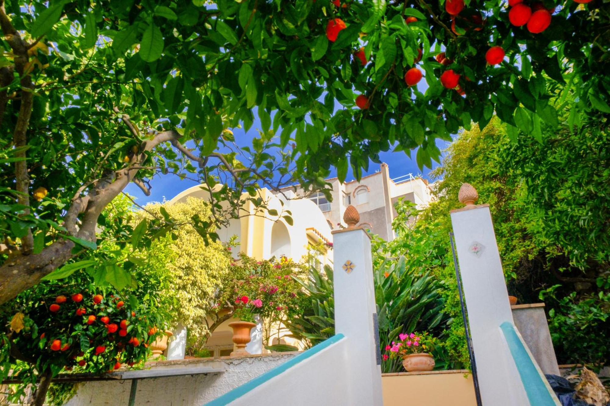 Villa Dorothee Capri Eksteriør bilde
