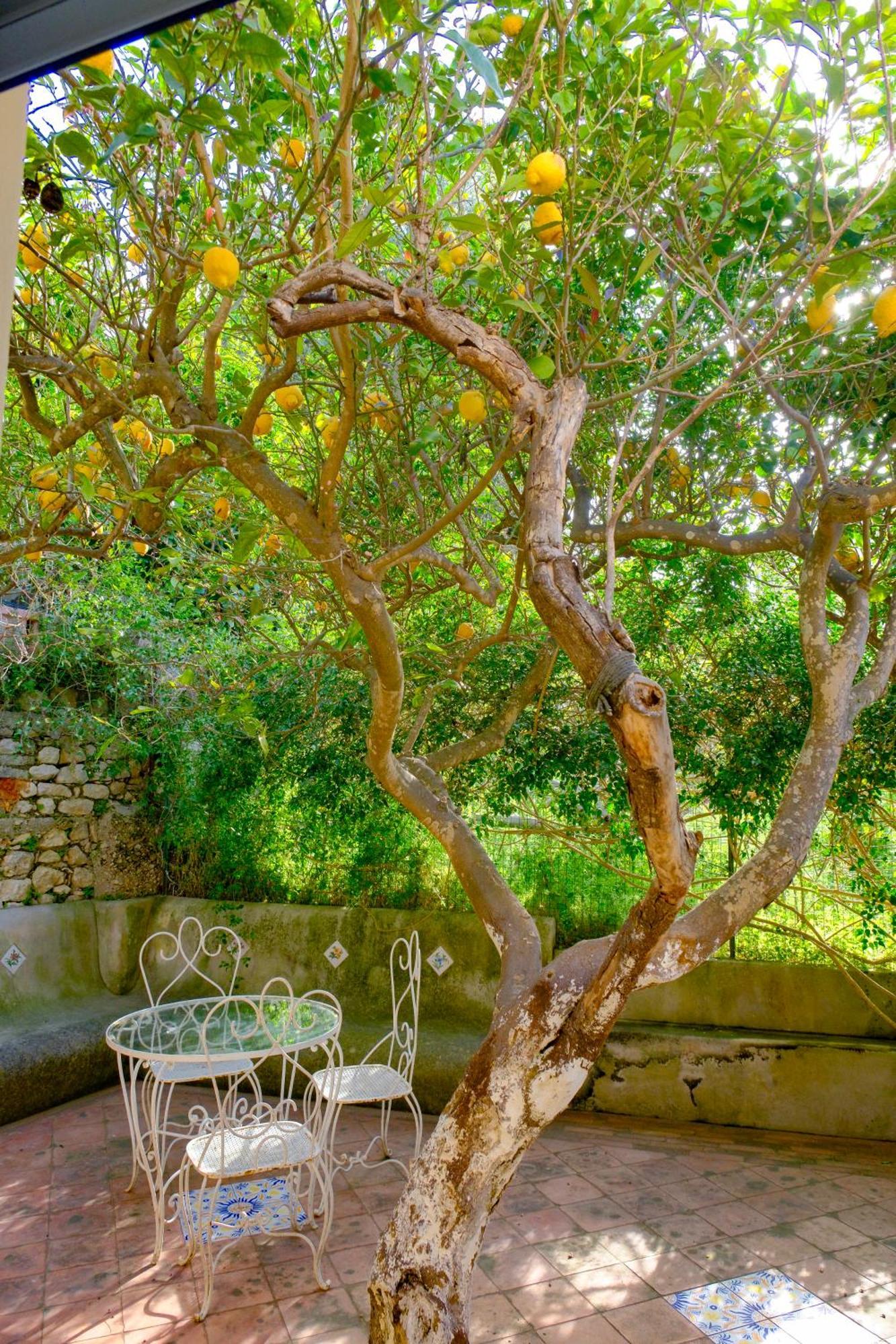 Villa Dorothee Capri Eksteriør bilde
