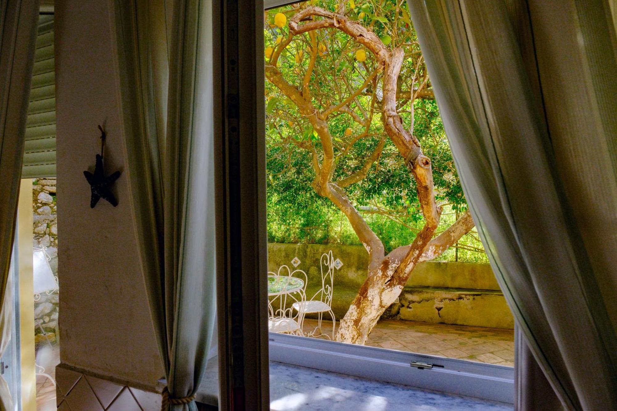 Villa Dorothee Capri Rom bilde